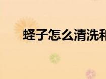 蟶子怎么清洗和處理（蟶子怎么清洗）