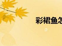 彩裙魚怎么養(yǎng)（彩裙魚）