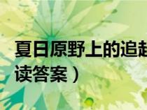 夏日原野上的追趕原文（夏日原野上的追趕閱讀答案）