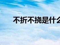 不折不撓是什么短語類型（不折不撓）