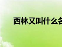西林又叫什么名字（介紹一下西林吧）