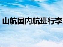 山航國內(nèi)航班行李規(guī)定（國內(nèi)航班行李規(guī)定）