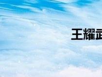 王耀武傳（王耀武）