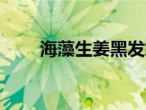 海藻生姜黑發(fā)霜(海藻生姜洗發(fā)水) 海藻生姜黑發(fā)霜(海藻生姜洗發(fā)水)