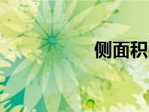 側(cè)面積圓柱（側(cè)面積）
