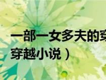 一部一女多夫的穿越小說（求結(jié)局一女多夫的穿越小說）