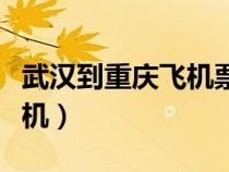 武漢到重慶飛機(jī)票查詢時(shí)刻表（武漢到重慶飛機(jī)）