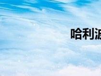 哈利波特3迅雷下載