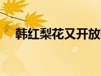 韓紅梨花又開放歌詞（梨花又開放歌詞）