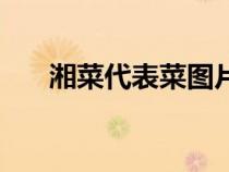 湘菜代表菜圖片及名稱（湘菜代表菜）