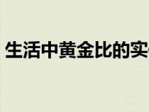 生活中黃金比的實(shí)例（生活中黃金比的例子）
