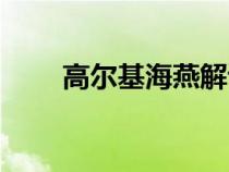 高爾基海燕解讀（高爾基海燕賞析）