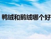 鴨絨和鵝絨哪個好一些（鴨絨和鵝絨哪個好）