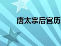 唐太宗后宮歷史（唐太宗后妃名單）