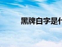 黑牌白字是什么單位的車(chē)（黑牌）