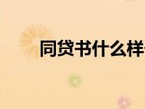 同貸書什么樣子的（什么是同貸書）