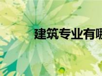 建筑專(zhuān)業(yè)有哪些專(zhuān)業(yè)（建筑專(zhuān)業(yè)）