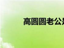高圓圓老公是誰?（高圓圓老公）