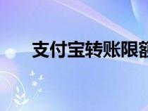 支付寶轉(zhuǎn)賬限額是多少（支付寶轉(zhuǎn)賬）