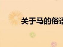 關于馬的俗語有（關于馬的俗語）