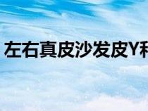 左右真皮沙發(fā)皮Y和z哪種好（左右真皮沙發(fā)）