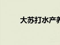 大蘇打水產(chǎn)養(yǎng)殖的用途(大蘇打) 大蘇打水產(chǎn)養(yǎng)殖的用途(大蘇打)