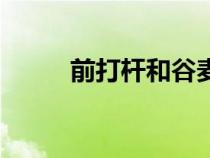 前打桿和谷麥竿的區(qū)別（前打桿）