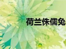 荷蘭侏儒兔價格（荷蘭侏儒兔）