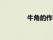 牛角的作用與功效（牛角）