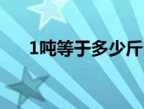 1噸等于多少斤公斤(1噸等于多少斤) 1噸等于多少斤公斤(1噸等于多少斤)