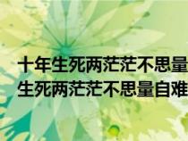 十年生死兩茫茫不思量自難忘什么意思一個男的發(fā)的（十年生死兩茫茫不思量自難忘什么意思）