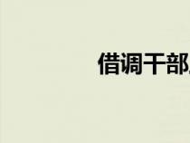 借調(diào)干部工作鑒定(借調(diào)) 借調(diào)干部工作鑒定(借調(diào))