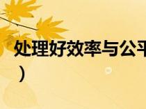 處理好效率與公平的關(guān)系(效率與公平的關(guān)系) 處理好效率與公平的關(guān)系(效率與公平的關(guān)系)