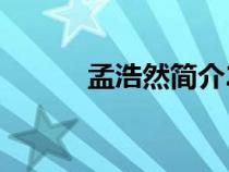 孟浩然簡介20字（孟浩然簡介）