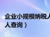 企業(yè)小規(guī)模納稅人查詢系統(tǒng)(企業(yè)小規(guī)模納稅人查詢) 企業(yè)小規(guī)模納稅人查詢系統(tǒng)(企業(yè)小規(guī)模納稅人查詢)