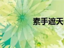 素手遮天小說（素手遮天）