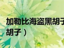 加勒比海盜黑胡子的船叫什么（加勒比海盜黑胡子）