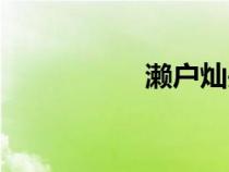 瀨戶燦頭像(瀨戶燦) 瀨戶燦頭像(瀨戶燦)