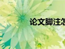 論文腳注怎么加（論文腳注）
