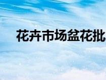 花卉市場盆花批發(fā)（盆栽花卉批發(fā)市場）