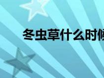 冬蟲草什么時(shí)候吃效果最佳（冬蟲草）