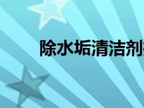 除水垢清潔劑推薦（除水垢清潔劑）