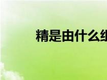 精是由什么組成的（精子是什么）