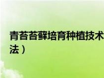 青苔苔蘚培育種植技術(shù)方法視頻（青苔苔蘚培育種植技術(shù)方法）