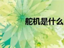 舵機(jī)是什么電機(jī)(舵機(jī)是什么) 舵機(jī)是什么電機(jī)(舵機(jī)是什么)