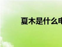 夏木是什么電視劇的人物（夏木）