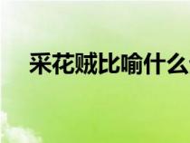 采花賊比喻什么生肖（采花賊采補(bǔ)女俠）