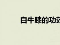 白牛膝的功效與作用圖片（白牛）