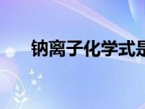 鈉離子化學(xué)式是什么（鈉離子化學(xué)式）