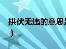 拱伏無違的意思是?（拱伏無違的意思是什么）